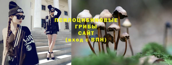 альфа пвп Покачи