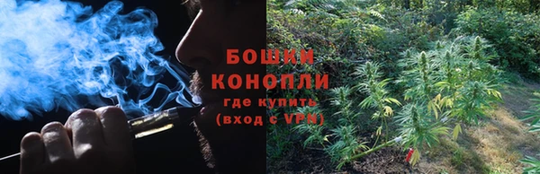 амф Пересвет