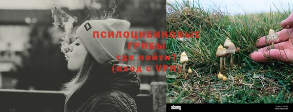 твердый Покровск