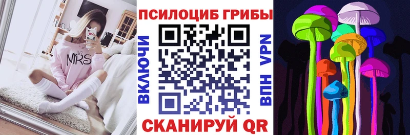 Купить закладки  Сортавала  Псилоцибиновые грибы Cubensis 